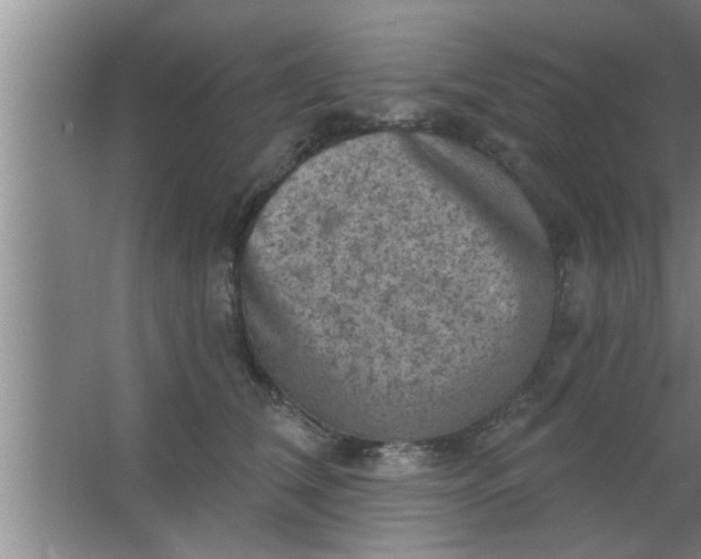 X0000063480612200602031927