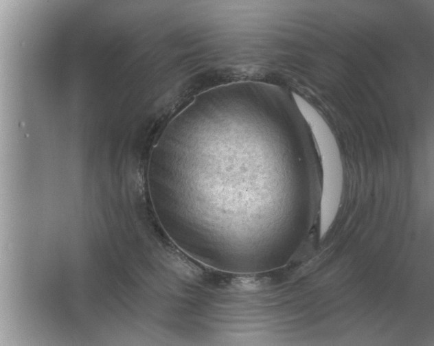 X0000063480613200602031927