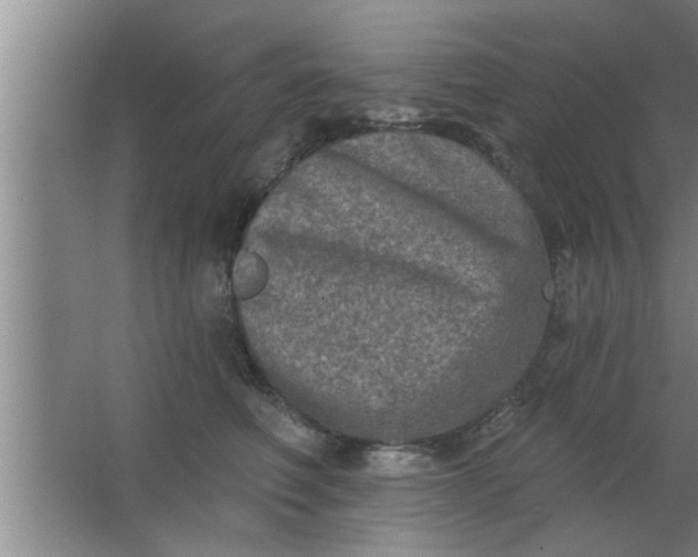 X0000063480614200602031927