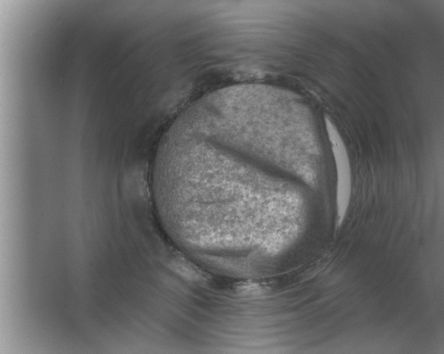 X0000063480616200602031927