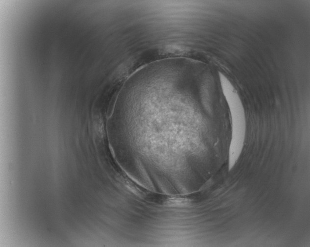 X0000063480617200602031927