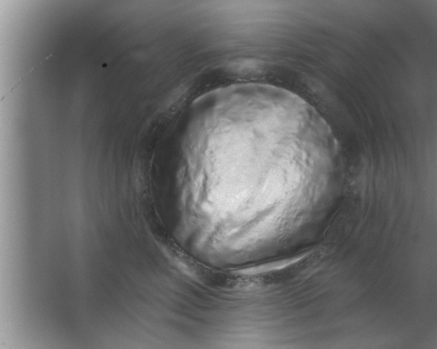 X0000063480618200602031927