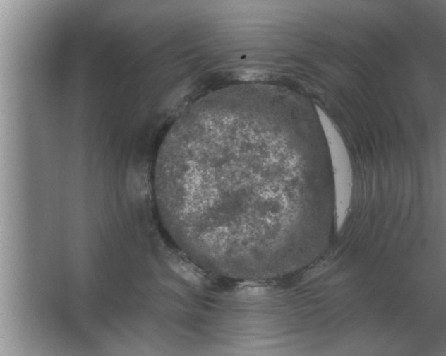 X0000063480620200602031927