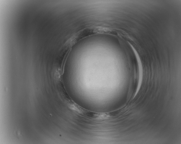 X0000063480621200602031927