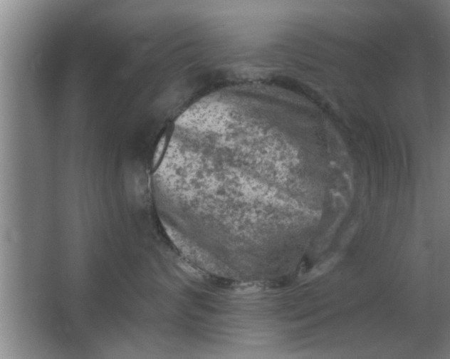 X0000063480624200602031927