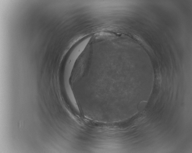 X0000063480626200602031926