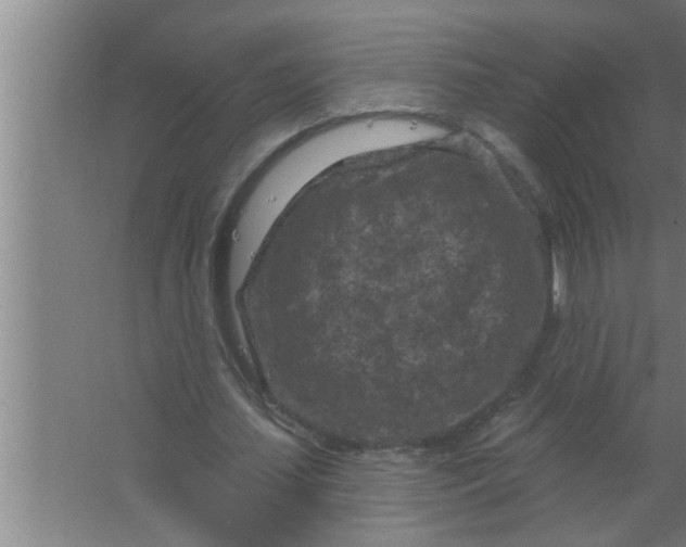 X0000063480627200602031926