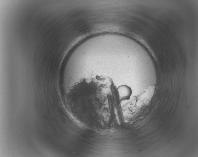 X0000063480629200602031926