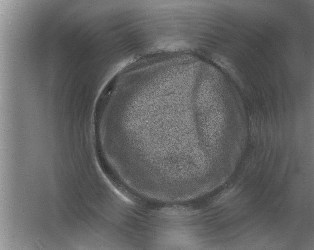 X0000063480630200602031926