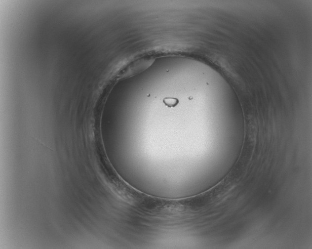 X0000063480631200602031926