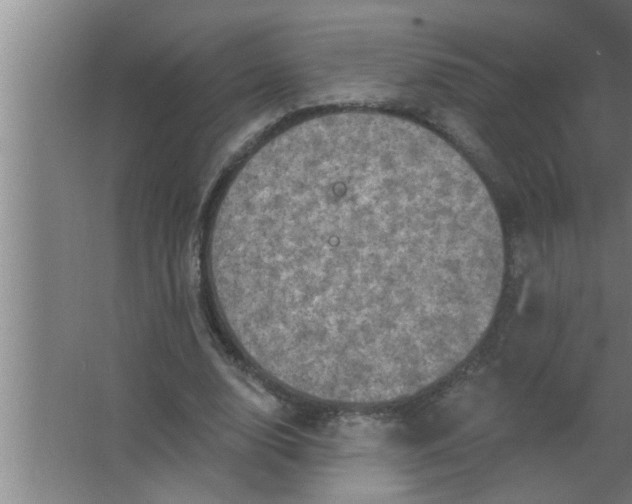 X0000063480632200602031926