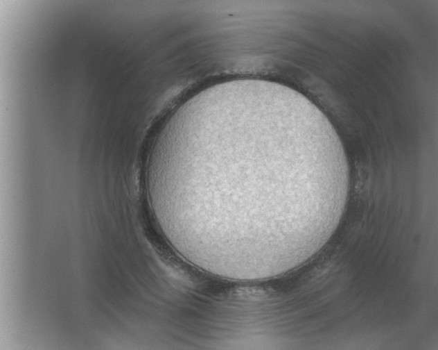 X0000063480636200602031926