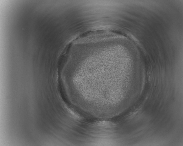 X0000063480637200602031926