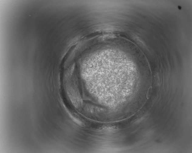 X0000063480638200602031926