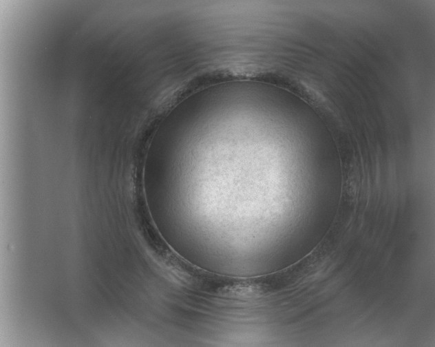 X0000063480639200602031927