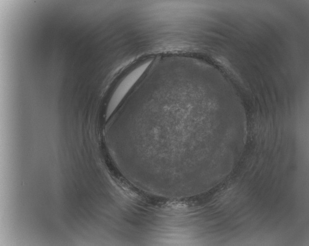 X0000063480640200602031927