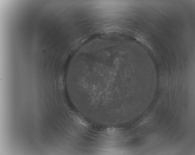 X0000063480641200602031927