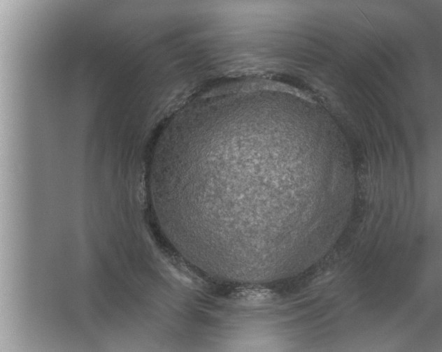 X0000063480642200602031927