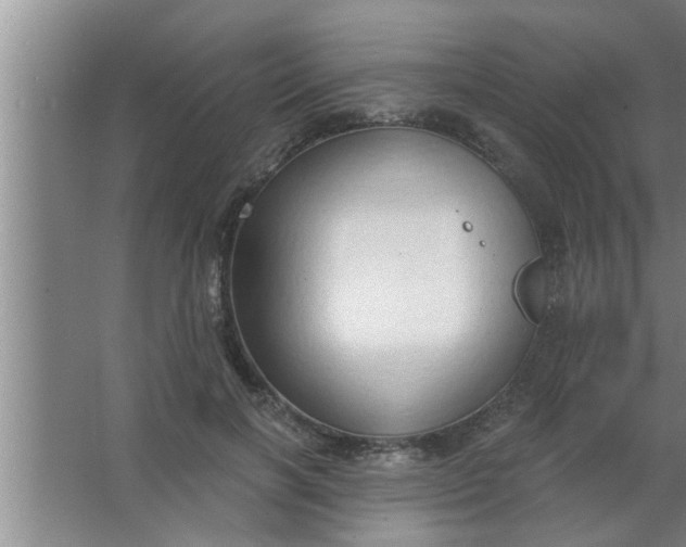 X0000063480646200602031927