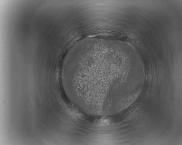 X0000063480647200602031927