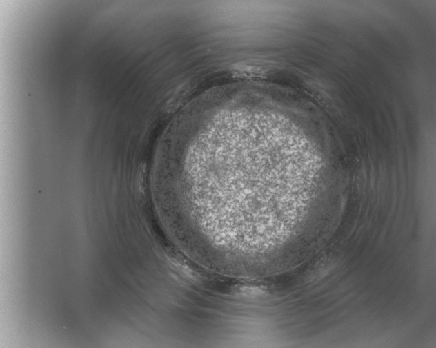 X0000063480649200602031927