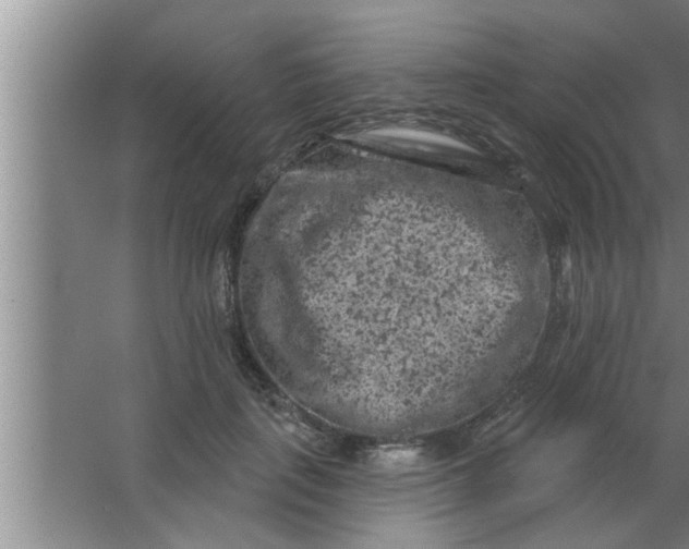 X0000063480651200602031927