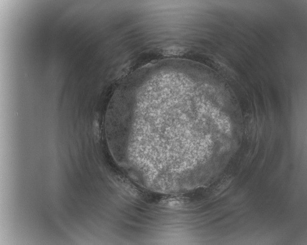 X0000063480655200602031927