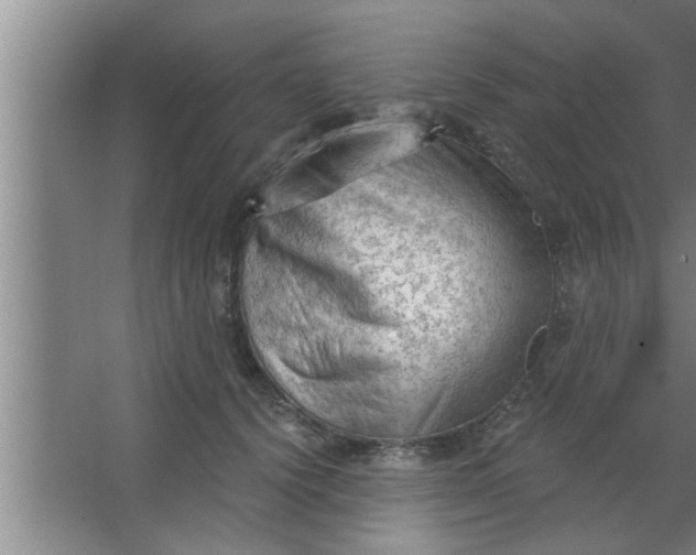 X0000063480656200602031927