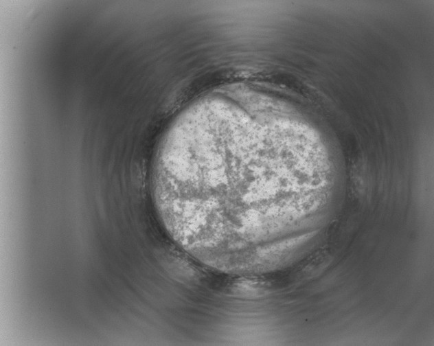 X0000063480657200602031927