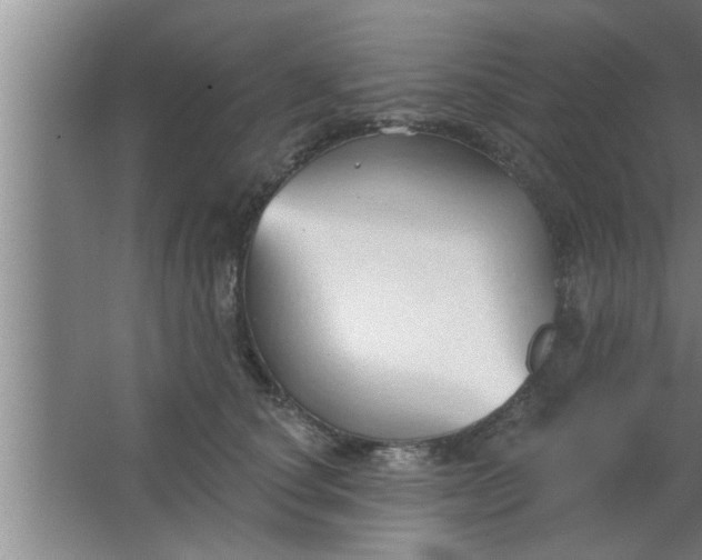 X0000063480660200602031927