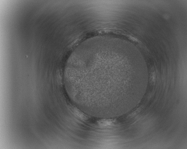 X0000063480661200602031927