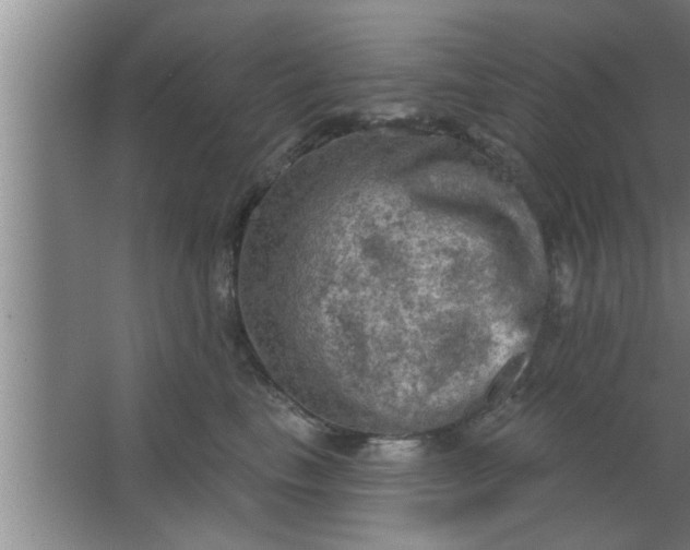 X0000063480665200602031927