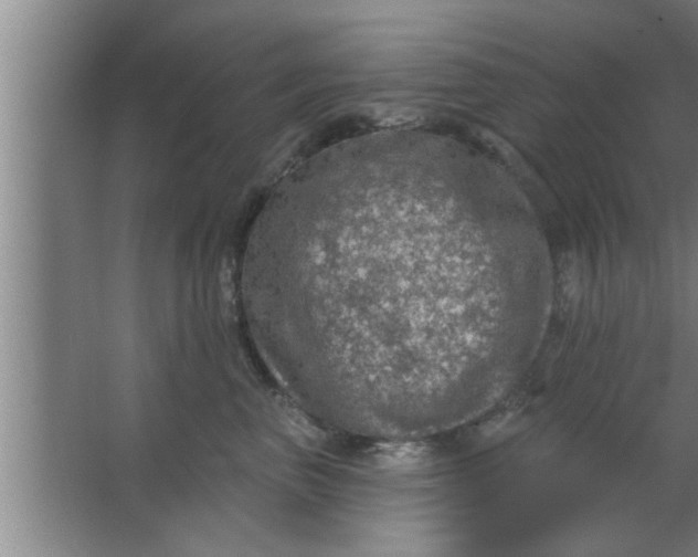 X0000063480667200602031927