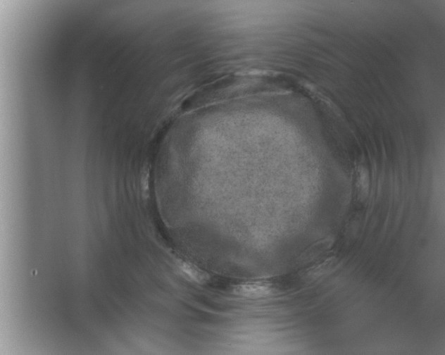 X0000063480668200602031927