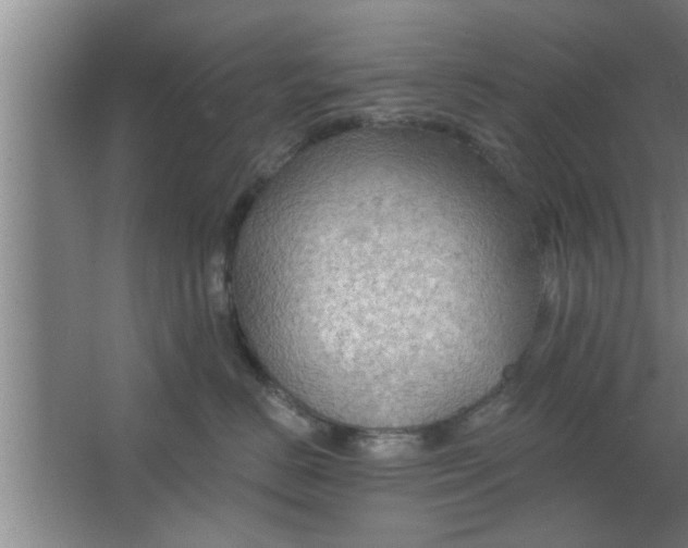 X0000063480670200602031927