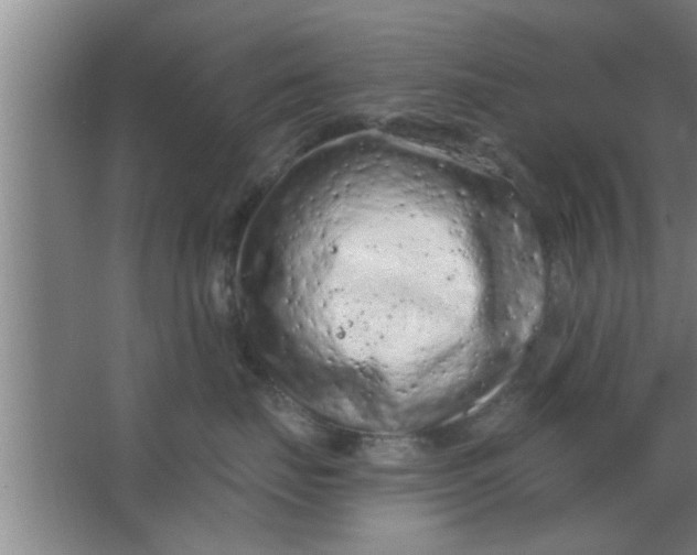 X0000063480671200602031927