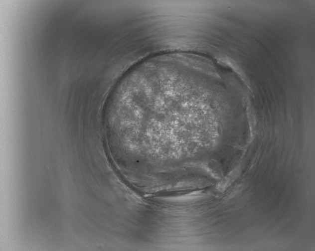 X0000063480673200602031926