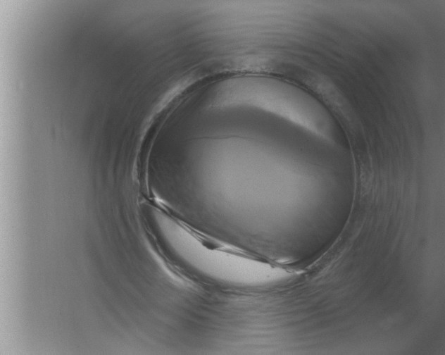 X0000063480674200602031926