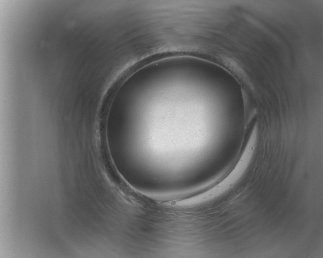 X0000063480676200602031926