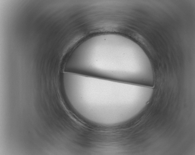 X0000063480677200602031926