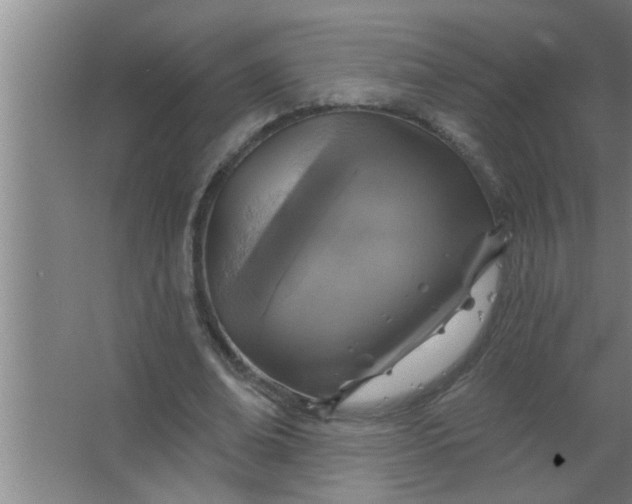 X0000063480678200602031926