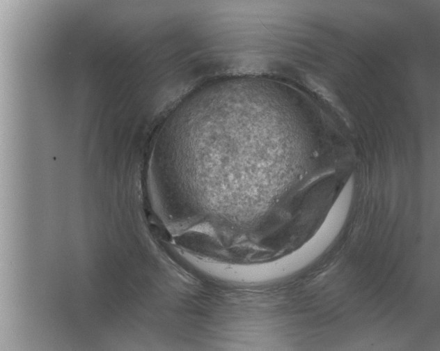 X0000063480681200602031926