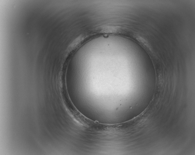 X0000063480682200602031926