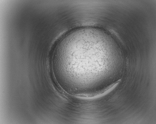 X0000063480684200602031926