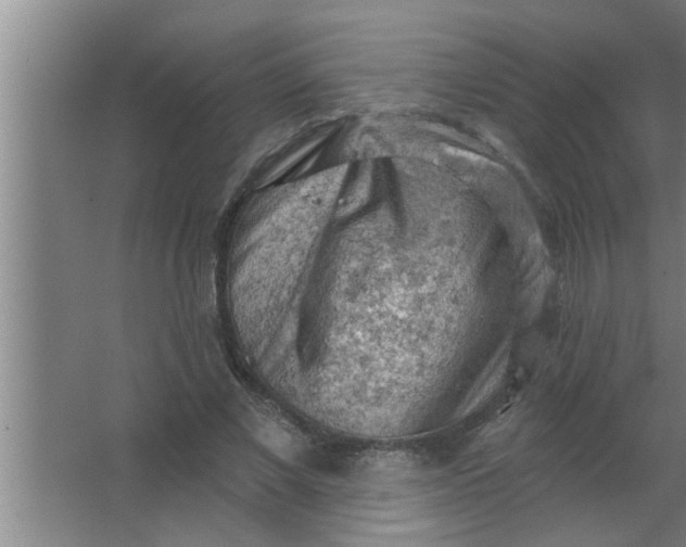 X0000063480685200602031926