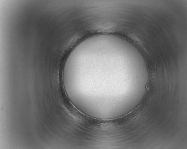 X0000063480686200602031926