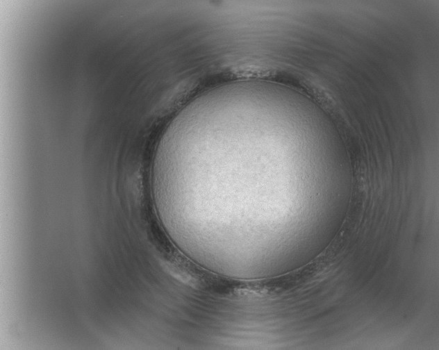 X0000063480690200602031926