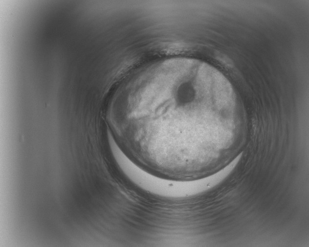 X0000063480691200602031926