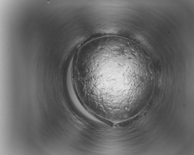 X0000063480692200602031926