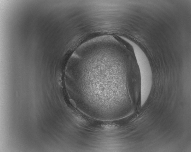 X0000063480693200602031926